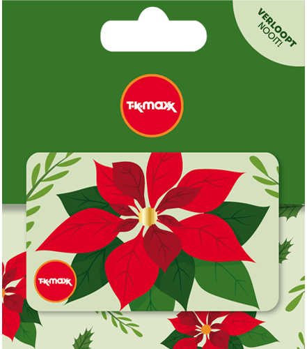 TK Maxx Christmas Poinsettia NL - NL
